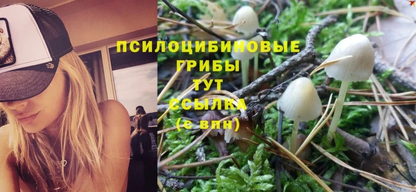СК Семёнов
