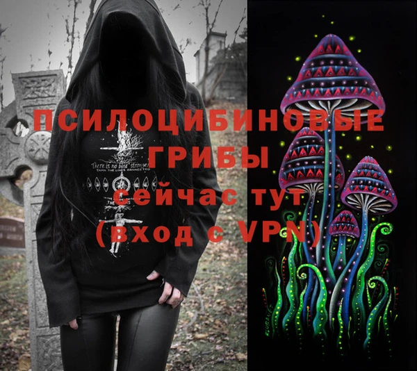 молекула духа Снежногорск