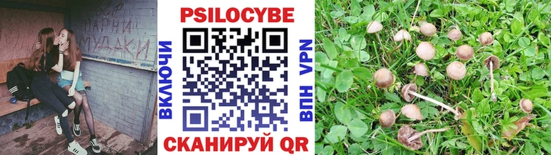 Купить где  Киренск  Галлюциногенные грибы мухоморы 